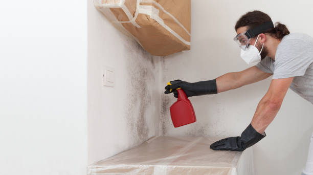 Professional Crawl Space Mold Removal technician working in White Hall, MD