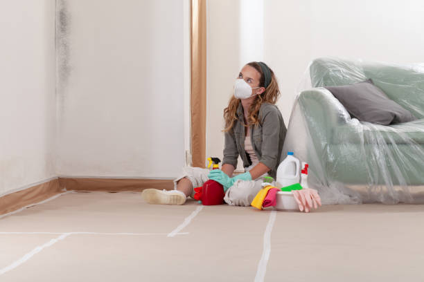 Reliable Crawl Space Mold Removal contractor in White Hall, MD by WQB Mold Removal